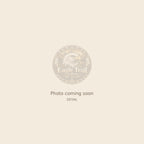 Feather Beaded Earrings – detail (photo coming soon)